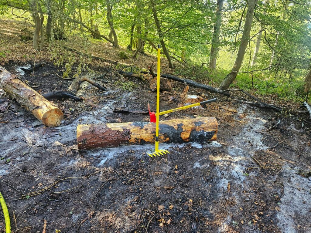 B3.03 Waldbrand