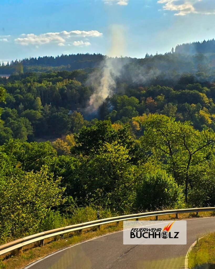 B3.08 Waldbrand